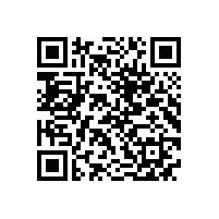 QWN.291-2021 YE4系列(IP55)三相异步电动机技术条件（机座号63～355）2