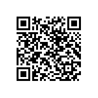 QWN.600-2021 YE3系列(IP55)三相异步电动机技术条件(机座号63～355)