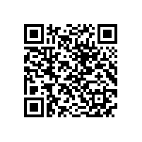 QWN.630-2022 YE5系列（IP55）三相异步电动机 技术条件（机座号63-355）