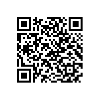 水环式真空泵低压交流电动机烧毁的原因分析及处理