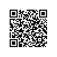 通用电气能源（杭州）公司客人来皖南电机参观