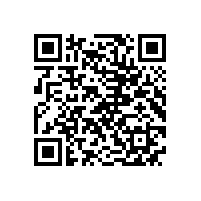 武钢公司来皖南电机进行二方审核