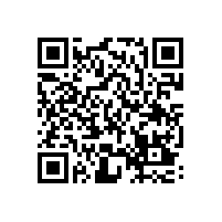 皖南电机被评为“优秀供应商”