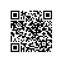 皖南电机党委召开 纪念“七一”暨“两先一优”表彰会