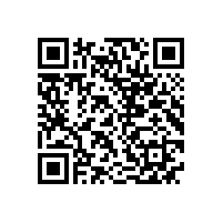 皖南电机开展节前安全大检查