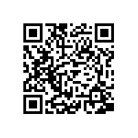 皖南电机通过上海宝钢二方体系审核