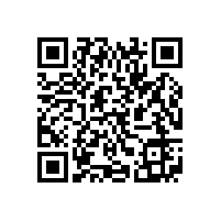 皖南电机信息化升级项目蓝图汇报会