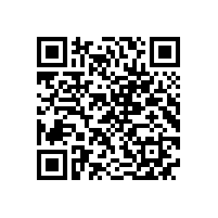 皖南电机应邀参加中国港口协会筒仓与散粮运输分会年度工作会