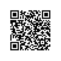 皖南电机召开驻外销售经理迎春座谈会