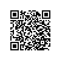 上海百胜软件股份有限公司