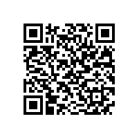 安徽省“调转促”专家组来皖南电机支招