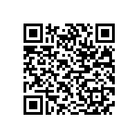 德国电机专家应邀来我公司做技术指导工作