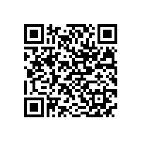 合工大智能院专家来访