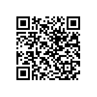 QWN.211-2021 YJZ2系列机床专用三相异步电动机技术条件（机座号80～355）