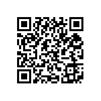 皖南电机举办销售经理新春座谈会