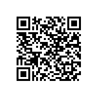 皖南电机再次进入“中国机械500强企业”