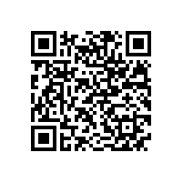 宣城市委书记李中来皖南电机调研