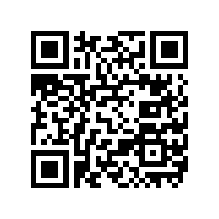 低压车载镍氢充电电池