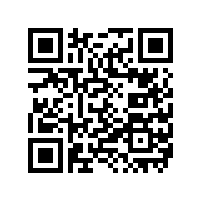 国内电动玩具电池厂家品牌排名