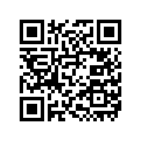 锂离子聚合物电池和锂聚合物电池的区别