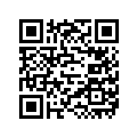 量能科技2024年中团建