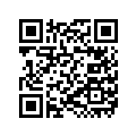 量能前行：以新质生产力铸就企业新辉煌