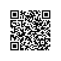 德国电机专家应邀来我公司做技术指导工作