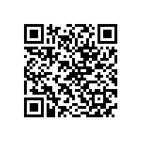 NE系列高效高转矩电机