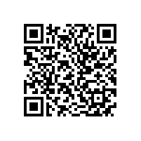 省科技厅副巡视员王学雷一行来皖南电机调研