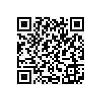 皖南电机再次进入“中国机械500强企业”