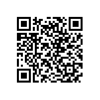 皖南高压电机-YHP系列（电站磨煤机专用）