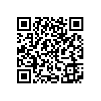 宣城市委书记李中来皖南电机调研