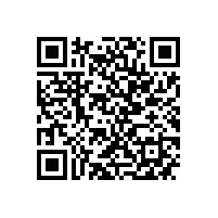 优化管理效能 筑牢新质生产力根基