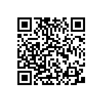 办公椅办公家具传统办公家具