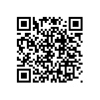 上海办公家具：从上海迪士尼想到的