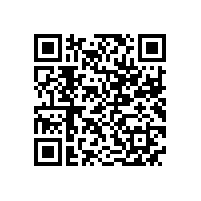 通用电气能源（杭州）公司客人来皖南电机参观