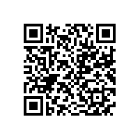 皖南电机被评为“优秀供应商”