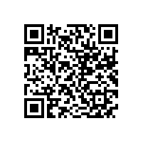 皖南电机获“安徽省优秀民营企业”荣誉称号