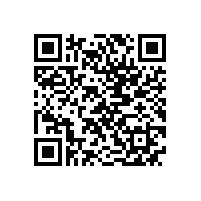 公司召开信息化工作交流会