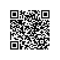 皖南高压电机-Y2系列高压（6kV）