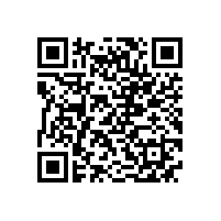 皖南高压电机-YL系列