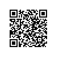 外审专家组来我公司进行管理体系监督审核