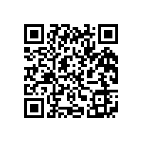 皖南电机召开驻外销售经理迎春座谈会