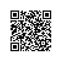 皖南电机召开驻外销售经理迎春座谈会