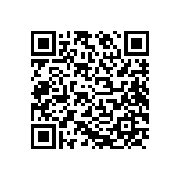 CEO办公经典案例
