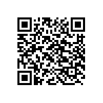 泾县2016年工业发展论坛在皖南电机举办