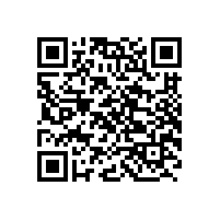 李利娟荣获第三届宣城市“青年五四奖章”