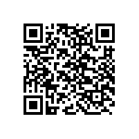 QWN.220-2021 YYB系列油泵专用三相异步电动机技术条件（机座号80～280）