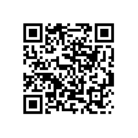 QWN.291-2021 YE4系列(IP55)三相异步电动机技术条件（机座号63～355）2