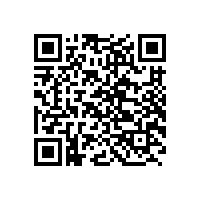 QWN.300-2022 YBX4系列高效率隔爆型三相异步电动机技术条件 (机座号80～355)